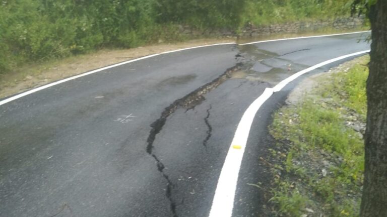 न्यूली शैशर रोड कई दिनों से बंद: लोगों को फल,सब्जियां बाज़ार लेजाने में आ रही दिक्कत