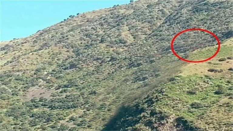 शिमला-सुन्नी सड़क मार्ग पर कार दुर्घटनाग्रस्त, एक व्यक्ति की मौत