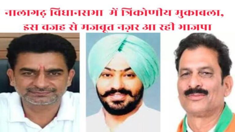नालागढ़ विधानसभा में त्रिकोणीय मुकाबला, इस वजह से मजबूत नज़र आ रही भाजपा