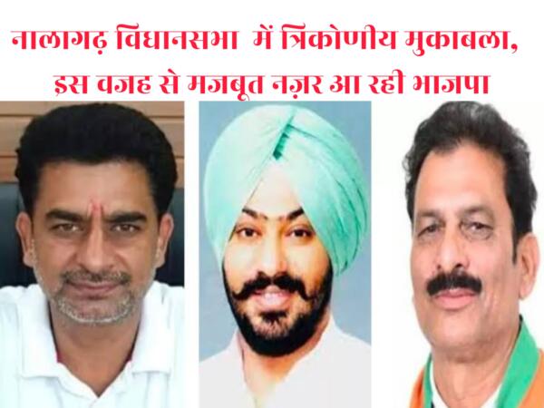 नालागढ़ विधानसभा में त्रिकोणीय मुकाबला, इस वजह से मजबूत नज़र आ रही भाजपा
