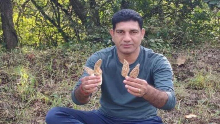 बिलासपुर के घुमारवीं में एक बार फिर मिली गुच्छी