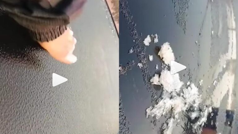 Greater Noida Cold Wave