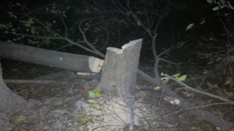 सुंदरनगर में सरकारी आदेशो की आड़ में हरे पेड़ो पर चली आरी