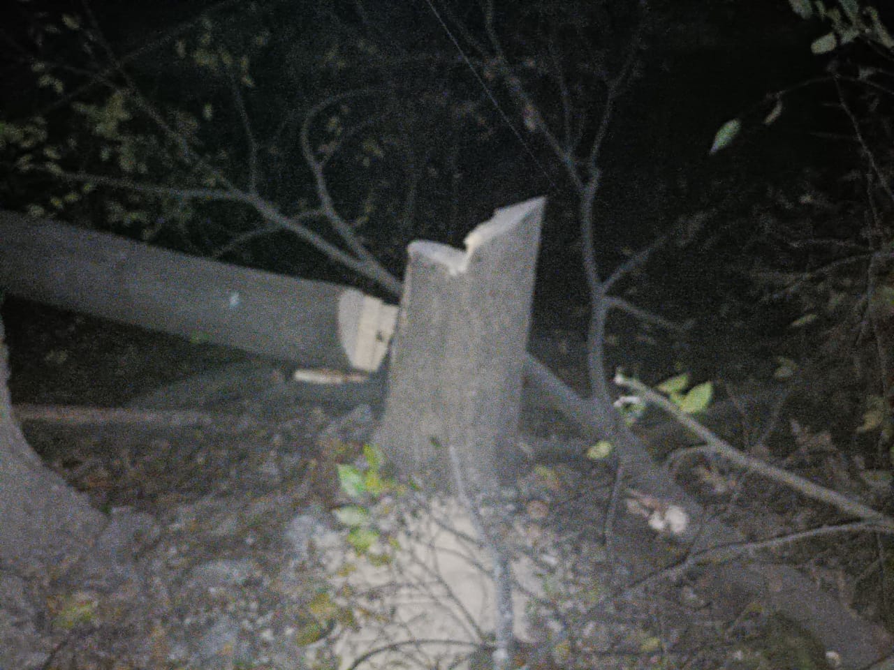 सुंदरनगर में सरकारी आदेशो की आड़ में हरे पेड़ो पर चली आरी