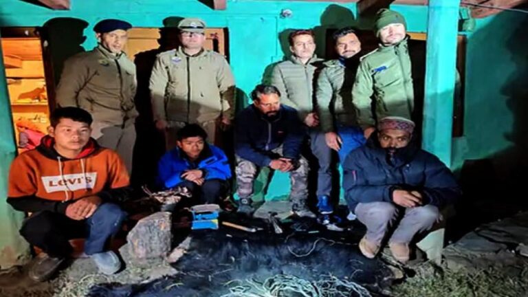 शिमला: ननखड़ी रेंज में दो भालूओं का शिकार करने वाले तीन गिरफ्तार, खाल सहित अन्य अवशेष भी बरामद