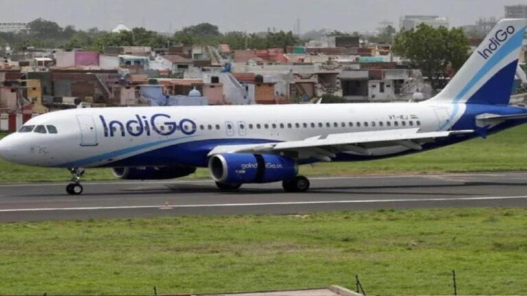 Indigo Flight