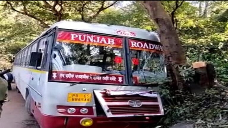 कांगड़ा के रानीताल में पेड़ से टकराई पंजाब रोडवेज की बस, 7 घायल