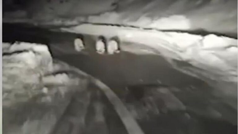 लाहौल स्पीति में दिखे 3 स्नो लेपर्ड, युवक ने कैमरे में किए कैद