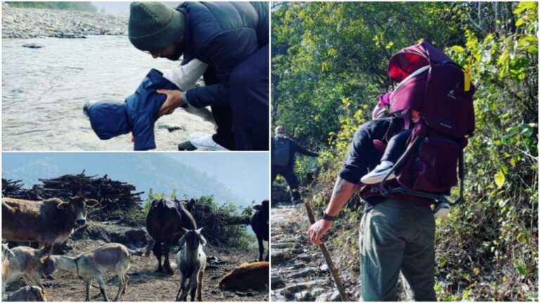 Anushka Sharma Shared Virat Kohli And Vamika Pics