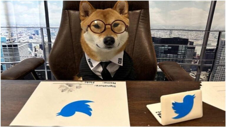 Elon Musk Tweet New Twitter CEO Picture