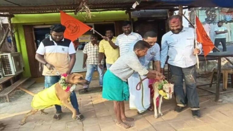 Valentines Day Protest