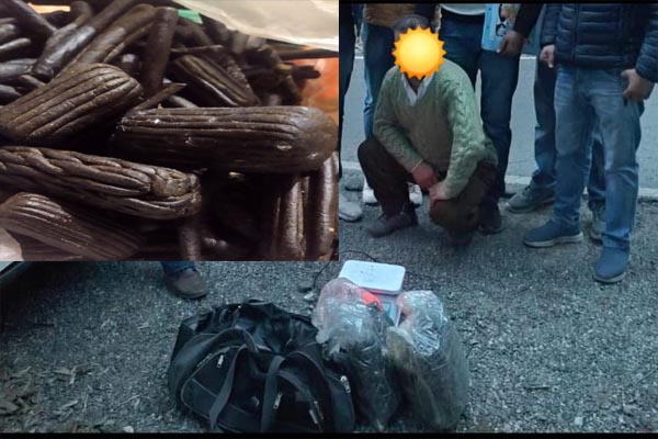 सिरमौर पुलिस को मिली बड़ी कामयाबी: नाकेबंदी के दौरान गाड़ी से पकड़ी 9.824 Kg चरस,आरोपी गिरफ्तार