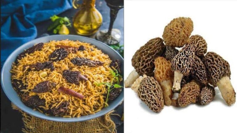 हरियाणा के सूरजकुण्ड मेले में पहाड़ी गुच्छी के स्वाद की धमक