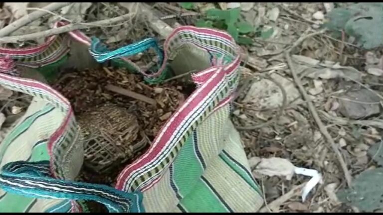 बरामद थैला