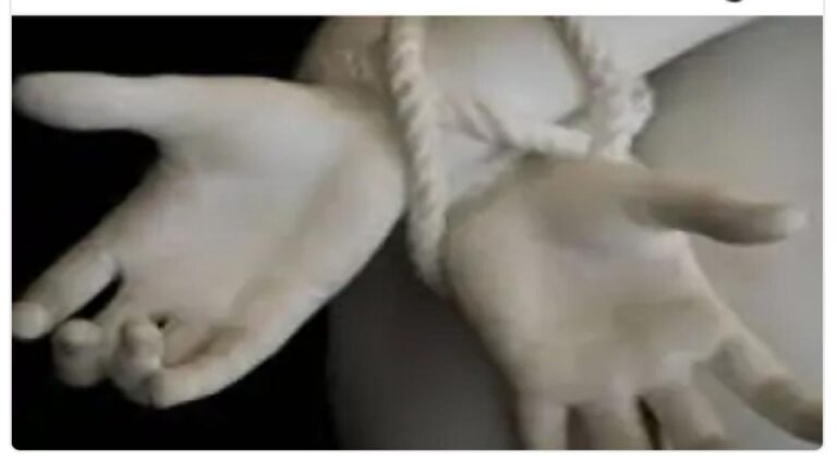 Screenshot 2023 03 03 22 36 55 62 40deb401b9ffe8e1df2f1cc5ba480b12