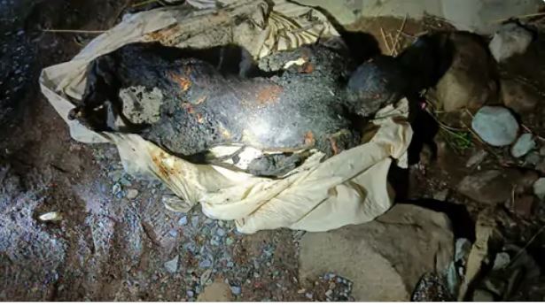 आग में जिंदा जले युवकों के कंकाल