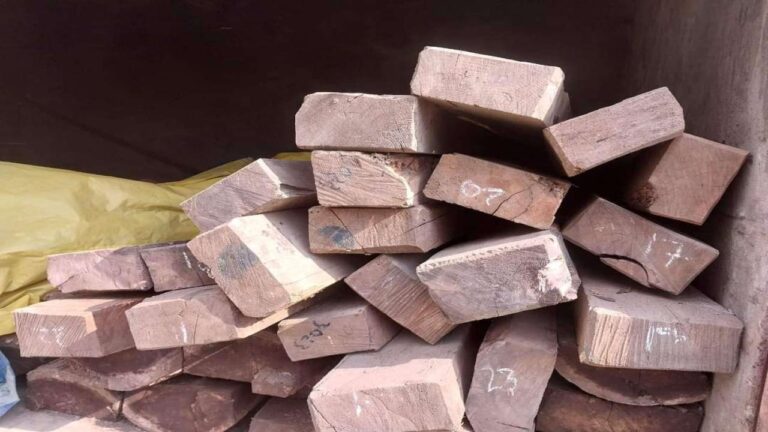 FB IMG 1682594612779