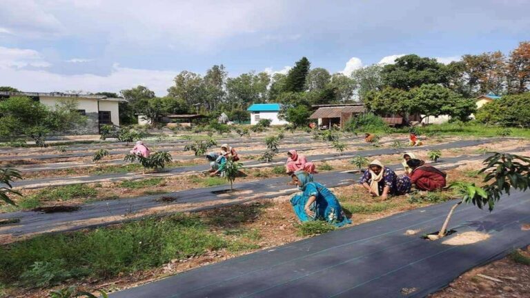 FB IMG 1682597671624