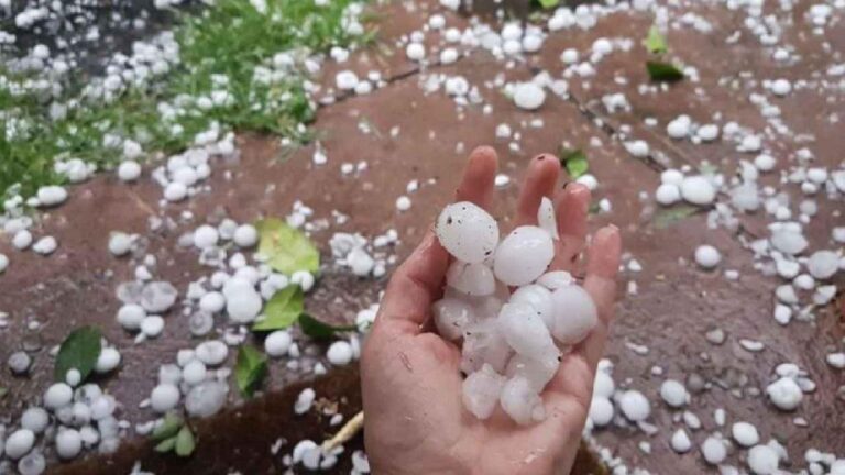 Mp Weather Update Rain Hail Alert