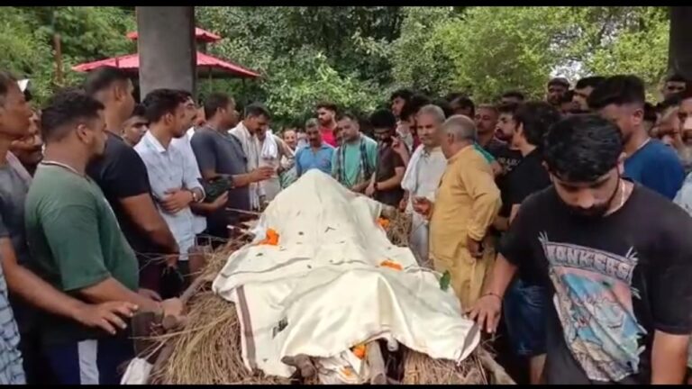 Screenshot 2023 08 12 16 41 14 62 7352322957d4404136654ef4adb64504