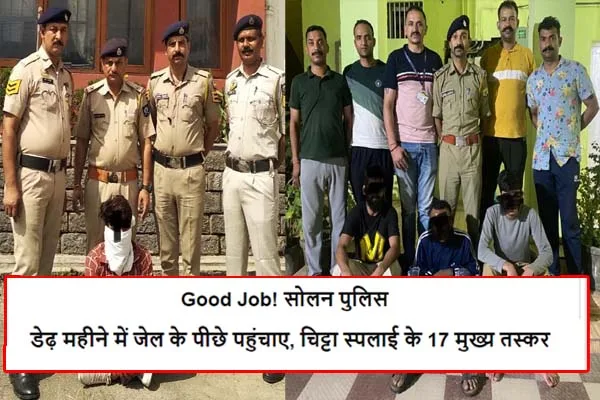 Good Job! सोलन पुलिस : डेढ़ महीने में जेल के पीछे पहुंचाए, चिट्टा स्पलाई के 17 मुख्य तस्कर