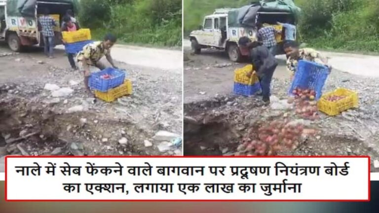 नाले में सेब फेंकने वाले बागवान पर प्रदूषण नियंत्रण बोर्ड का एक्शन, लगाया एक लाख का जुर्माना