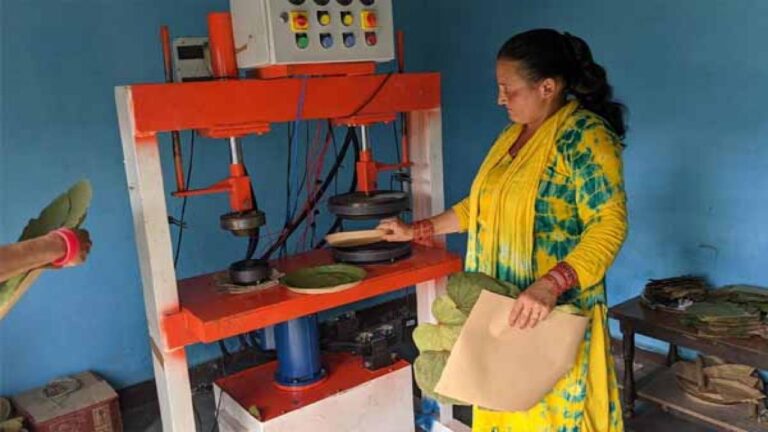 Mandi News टौर की पत्तलों के व्यवसाय से बाडू वाड़ा देव स्वयं सहायता समूह मजबूत कर रहा आर्थिकी