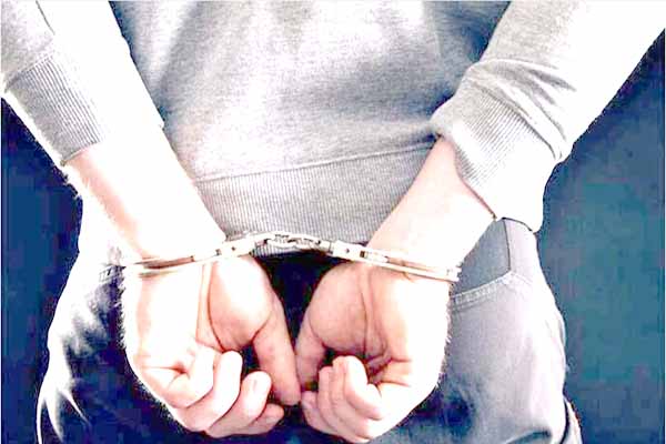 शिमला पुलिस की बड़ी कामयाबी, ट्रांसफार्मर चोरी करने वाले गैंग को दबोचा