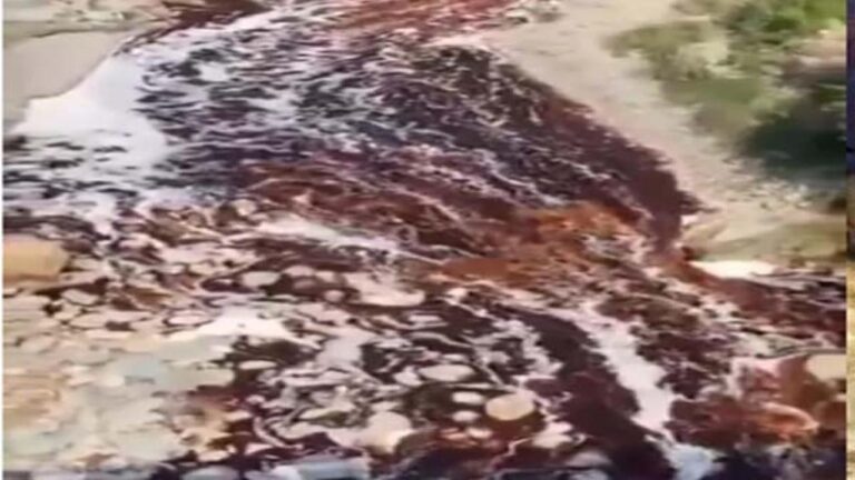 Himachal News: बिलासपुर की गंभरोला खड्ड में आया पेयजल की स्कीमें हुईं प्रभावित; फैक्ट्री भी सील