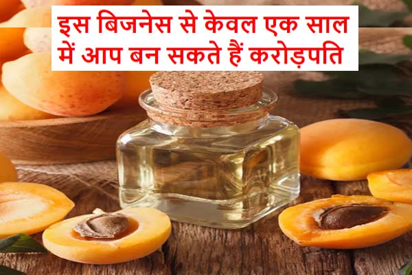 Best Business Idea ,Apricot Oil Benefits and Side Effects in Hindi Apricot oil Processing Unit