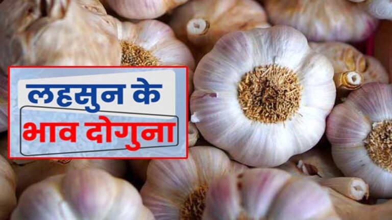 Garlic Price Hike in india