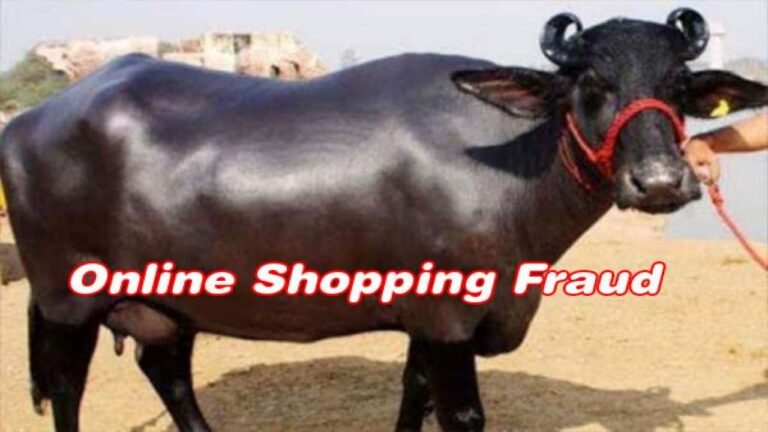 Online Shopping Fraud