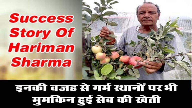 Success Story Of Hariman Sharma's HRMN-99 apple variety