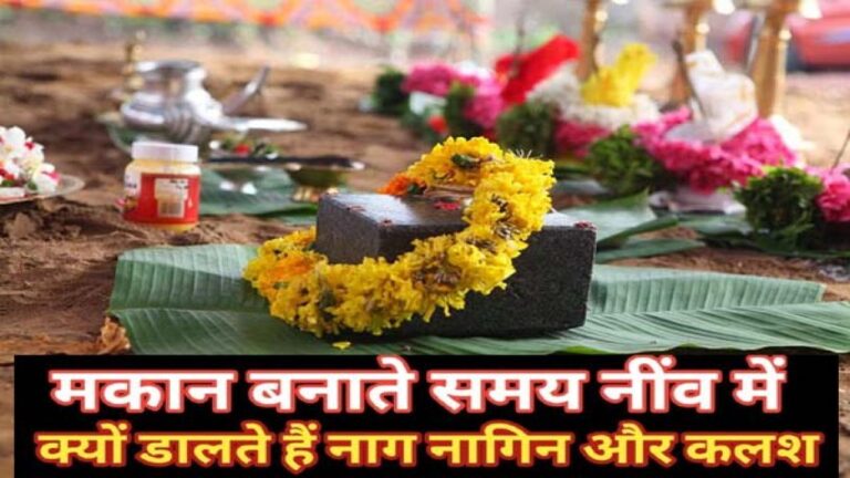 Vastu tips to put a pot and a snake made of silver in the foundation of the house