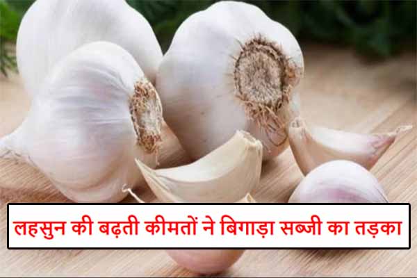 Garlic Price Hike