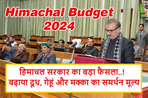 Himachal Budget 2024 MSP of Milk Wheat and maize