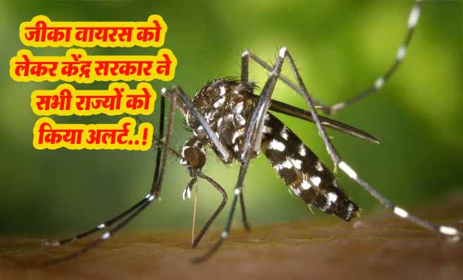Zika Virus Alert: जीका वायरस को लेकर केंद्र सरकार ने सभी राज्यों को किया अलर्ट..!