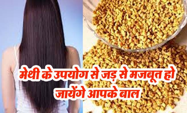 Fenugreek Seeds For Hair Growth: मेथी के उपयोग से जड़ से मजबूत हो जायेंगे आपके बाल :-शहनाज़ हुसैन