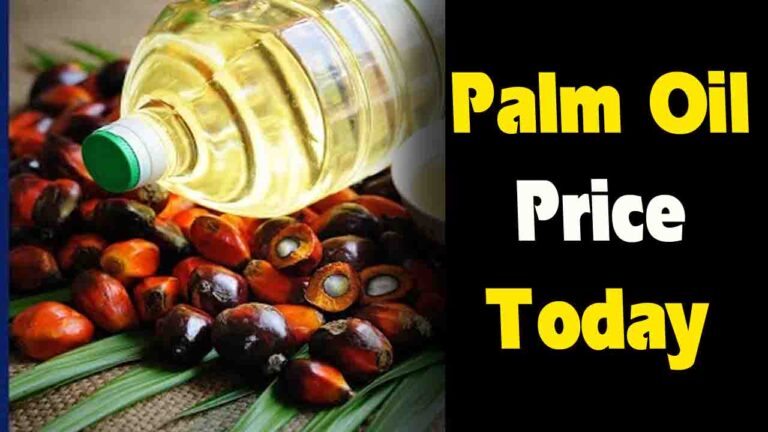 Palm Oil Price: ढाई साल की ऊंचाई पर पहुंचा पाम ऑयल की कीमत