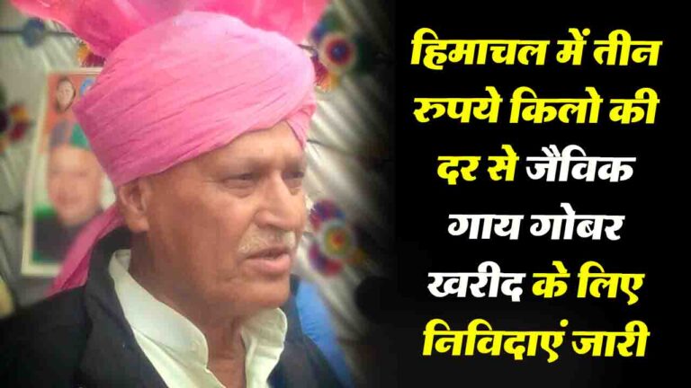 Himachal News: हिमाचल प्रदेश में जैविक गाय के गोबर की खरीदारी के लिए निविदाएं जारी