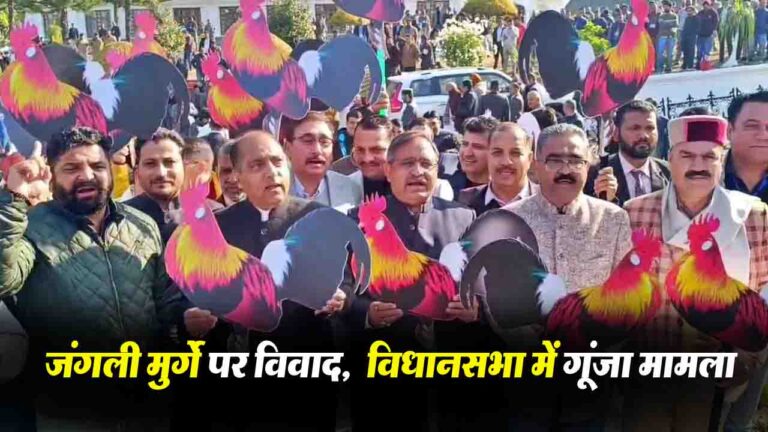 Himachal News: जंगली मुर्गे पर विवाद: विधानसभा परिसर में भाजपा का जोरदार प्रदर्शन..!