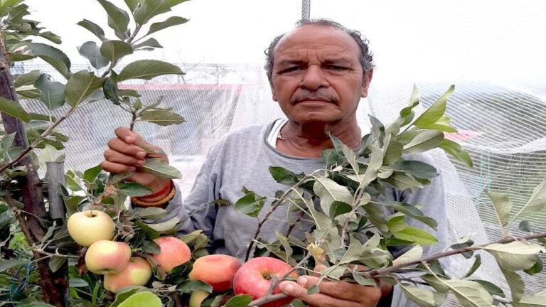 Himachal: बधाई! बिलासपुर के किसान हरिमन शर्मा को पद्मश्री सम्मान