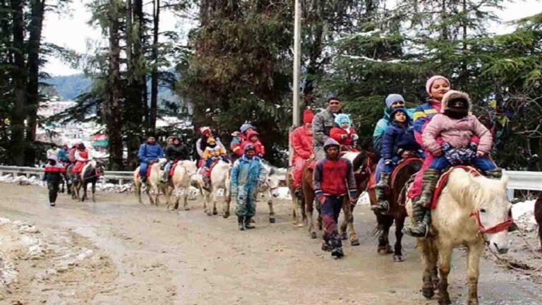 Himachal: कुफरी में घोड़ों और पर्यटकों का बोझ, NGT ने वहन क्षमता और लीद प्रबंधन पर मांगी विस्तृत रिपोर्ट..!