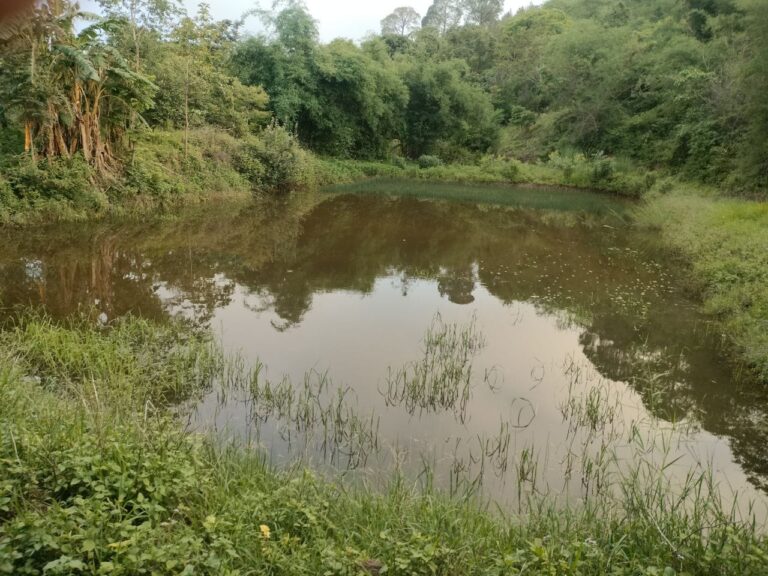 Solan: जल के महत्व को समझते हुए इसके संरक्षण के लिए प्रयास करे..!