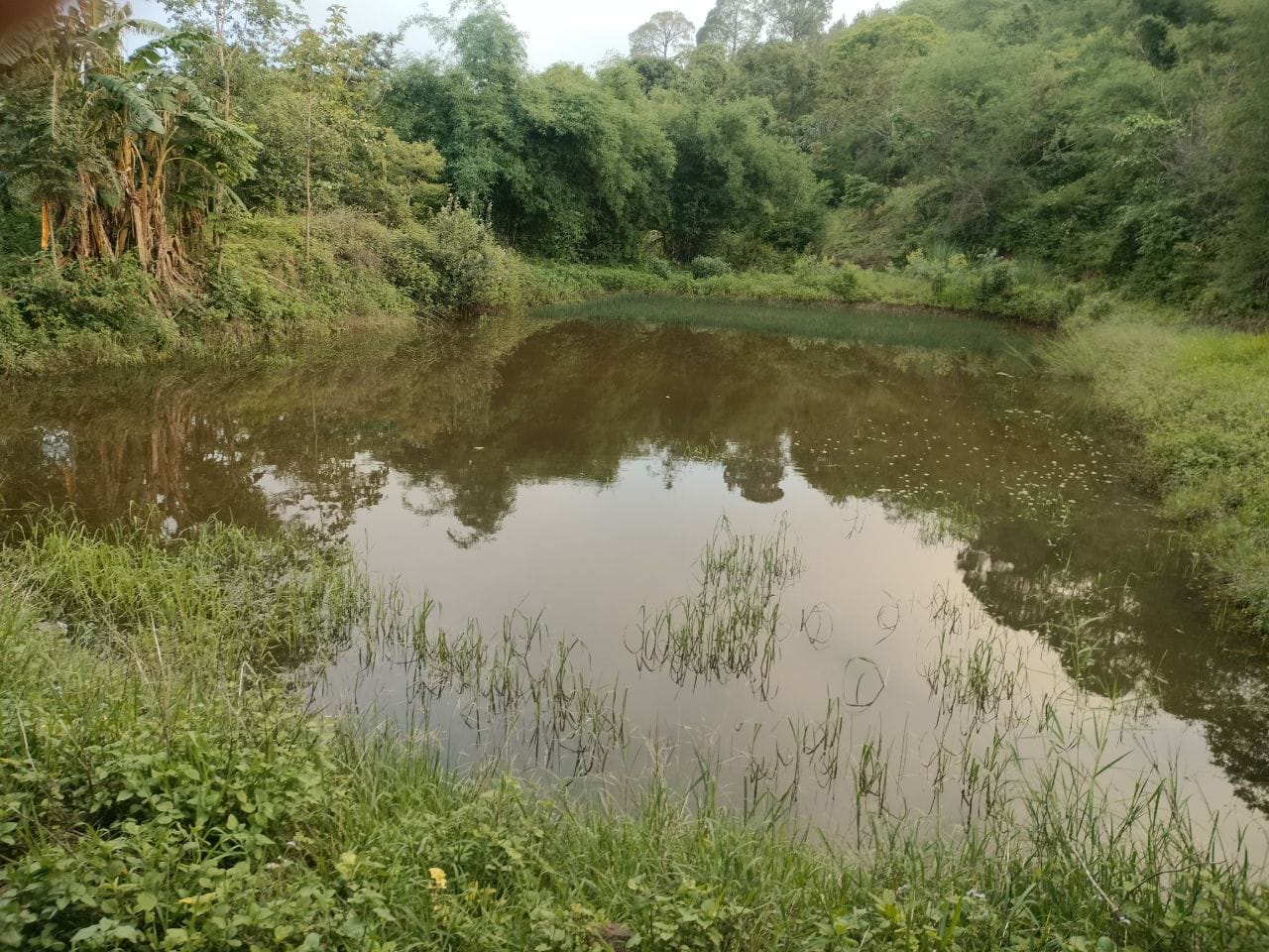 Solan: जल के महत्व को समझते हुए इसके संरक्षण के लिए प्रयास करे..!