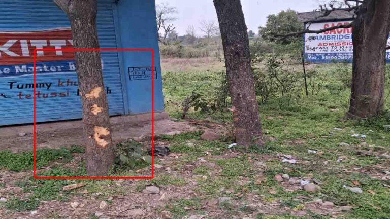 Accident News: होली की छुट्टियों में ससुराल जा रहे दंपति के साथ हादसा, पत्नी की मौत, पति गंभीर रूप से घायल.