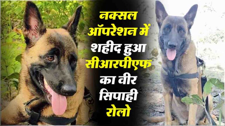 नक्सल ऑपरेशन में शहीद हुआ CRPF का वीर सिपाही ‘Rolo’, मरणोपरांत डीजी कमेंडेशन डिस्क सम्मान