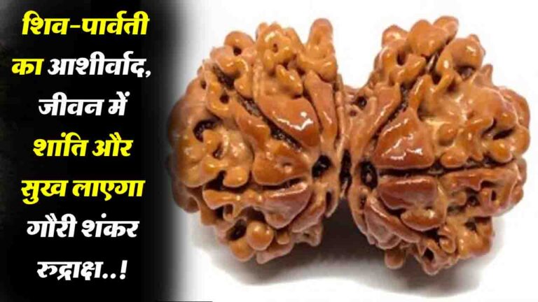 Gauri Shankar Rudraksha: शिव-पार्वती का आशीर्वाद, जीवन में शांति और सुख लाएगा गौरी शंकर रुद्राक्ष..!