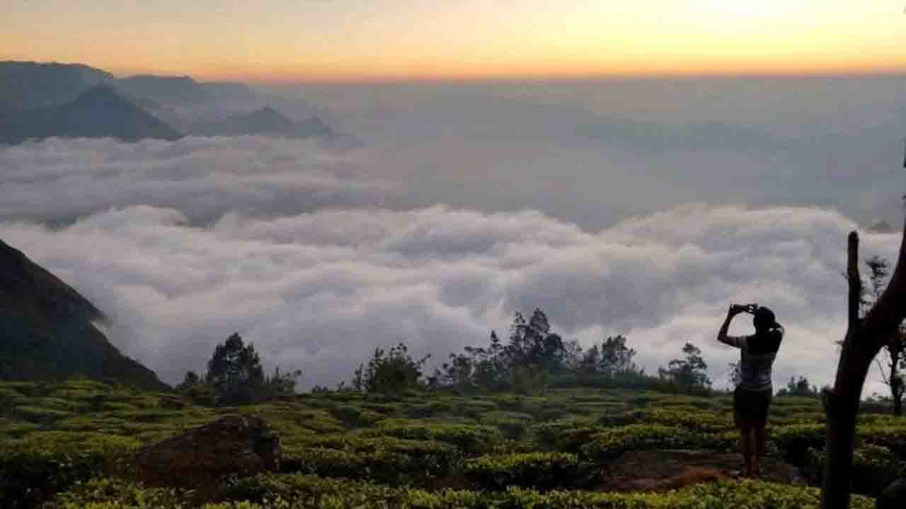 Munnar: चाय की घाटियों में बसा हिल स्टेशन, जहाँ हरियाली सांस लेती है तो बादल पहाड़ियों से गले मिलते हैं...!