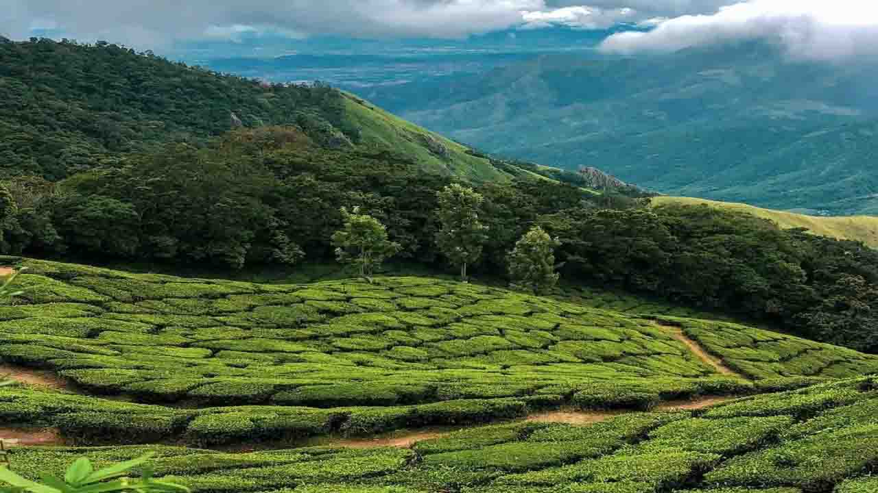 Munnar: चाय की घाटियों में बसा हिल स्टेशन, जहाँ हरियाली सांस लेती है तो बादल पहाड़ियों से गले मिलते हैं...!